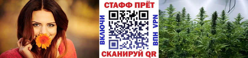Где найти наркотики Ковылкино Амфетамин КОКАИН ГАШ Псилоцибиновые грибы Марихуана Кетамин mega как зайти A-PVP МЕФ