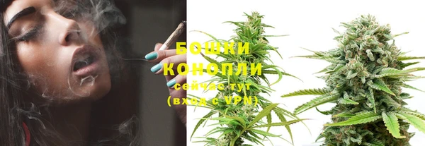 гидропоника Бородино