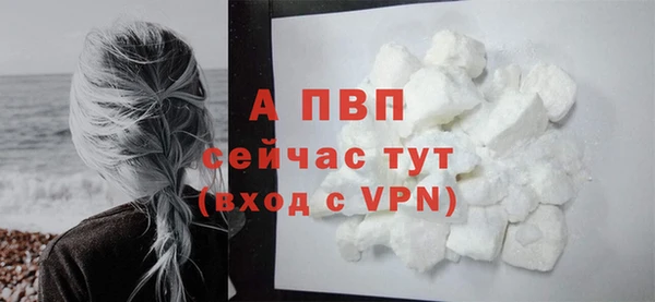 гидропоника Бородино