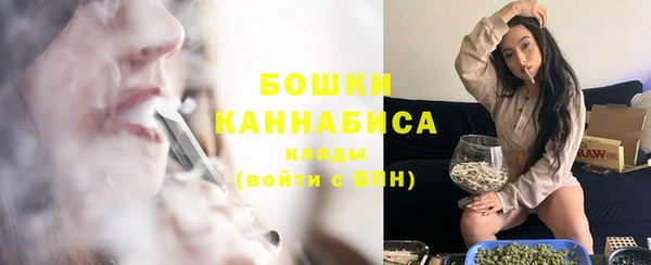 гидропоника Бородино