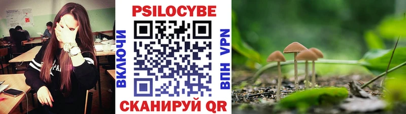 купить закладку  Ковылкино  Галлюциногенные грибы прущие грибы 